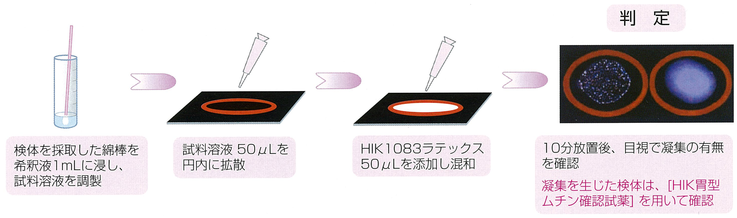 r_hik_honsiken.png