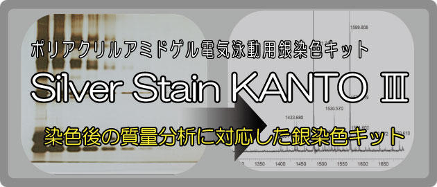 電気泳動用銀染色キット Silver Stain KANTOⅢ | タンパク質電気泳動